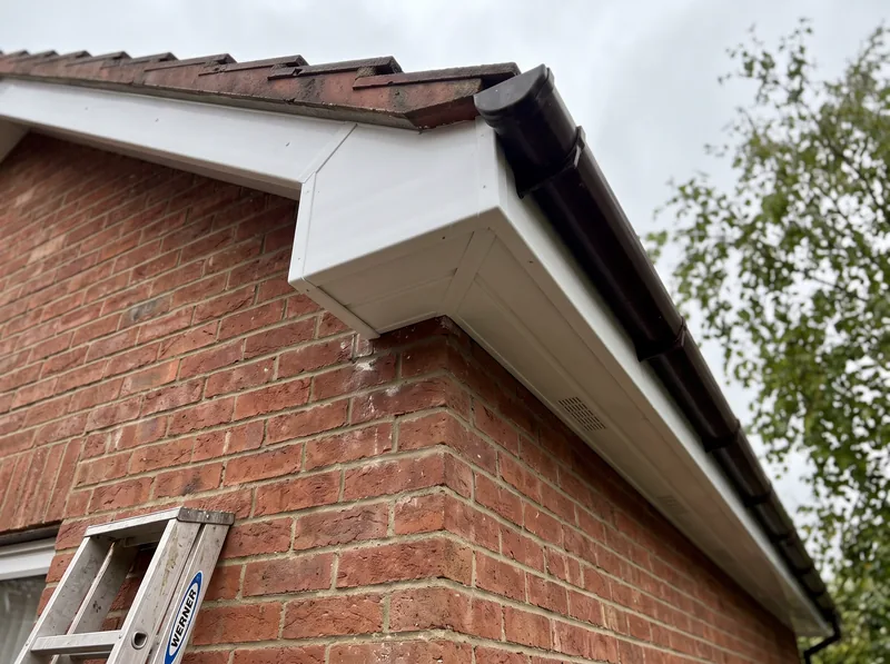 Clean eaves and soffit after a wasp nest was removed